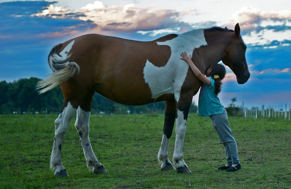 ребёнок обнимает лошадь.